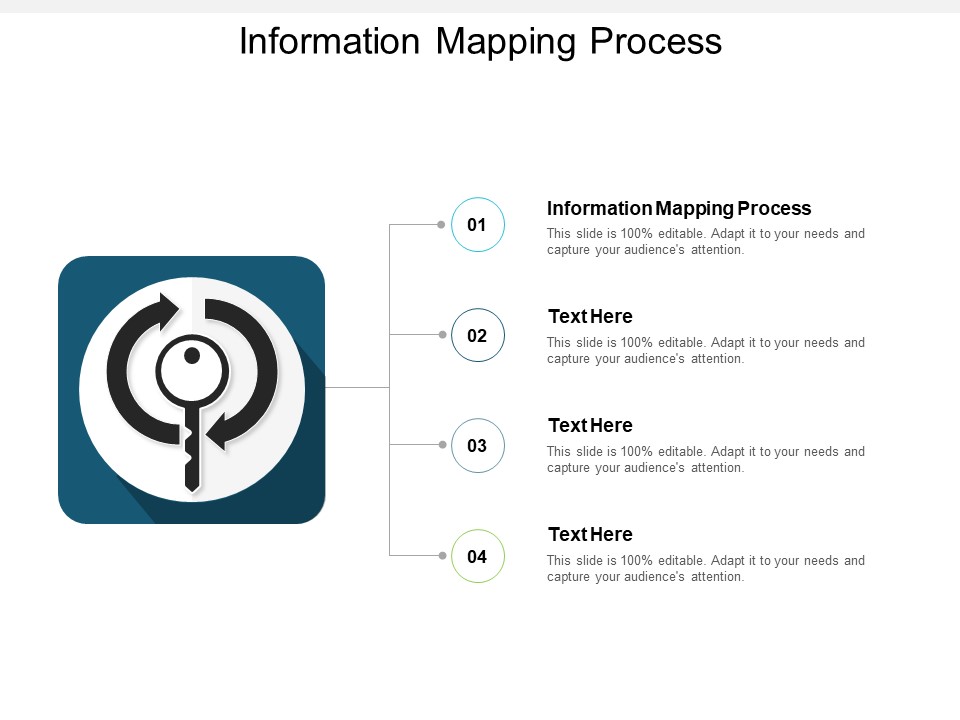Information Mapping Process Ppt PowerPoint Presentation Summary Microsoft Cpb
