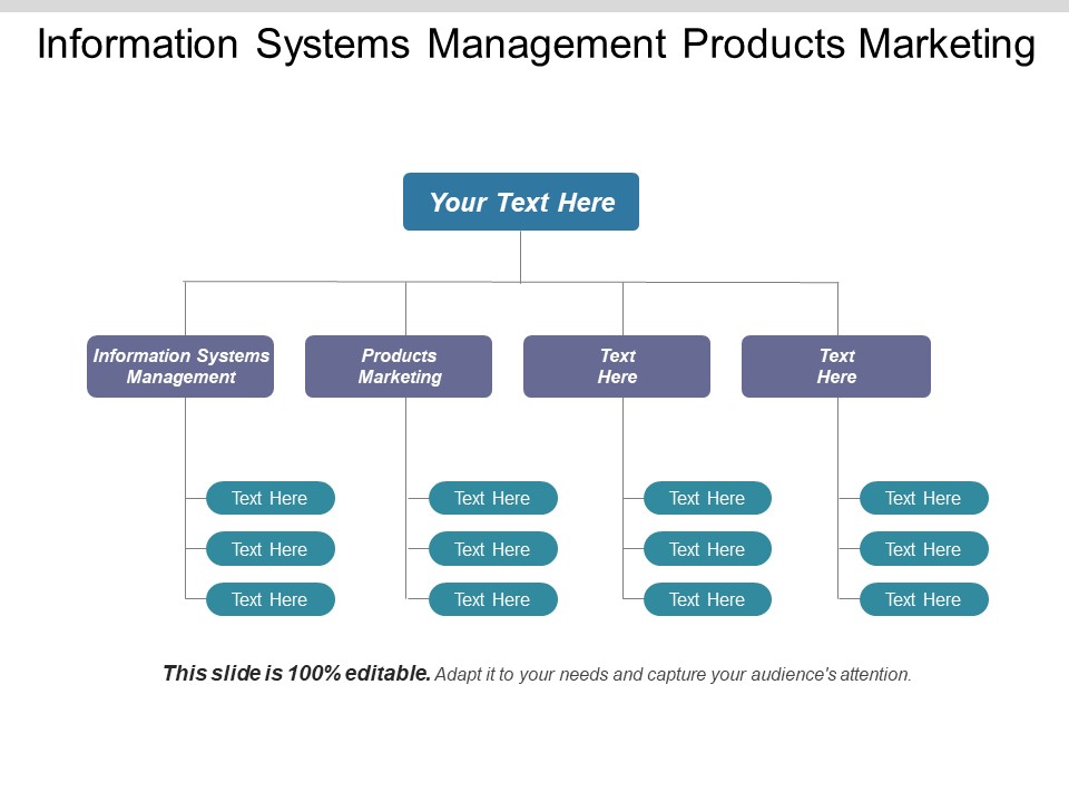 Information Systems Management Products Marketing Ppt PowerPoint Presentation Icon Grid