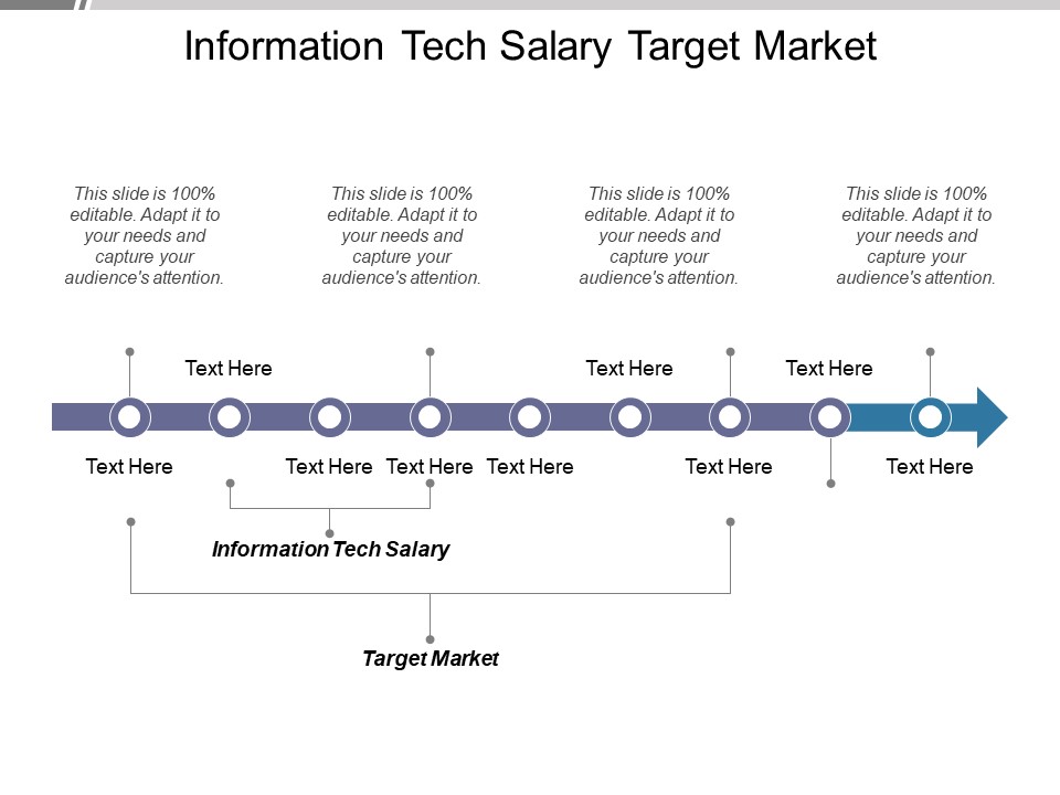 Information Tech Salary Target Market Ppt PowerPoint Presentation Model Slides
