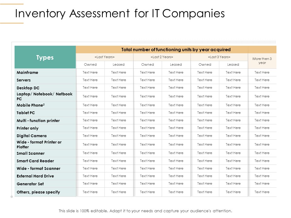 Infrastructure Strategies Inventory Assessment For IT Companies Ppt Styles Clipart PDF