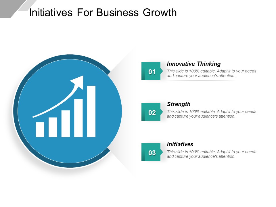 Initiatives For Business Growth Ppt PowerPoint Presentation Gallery Maker