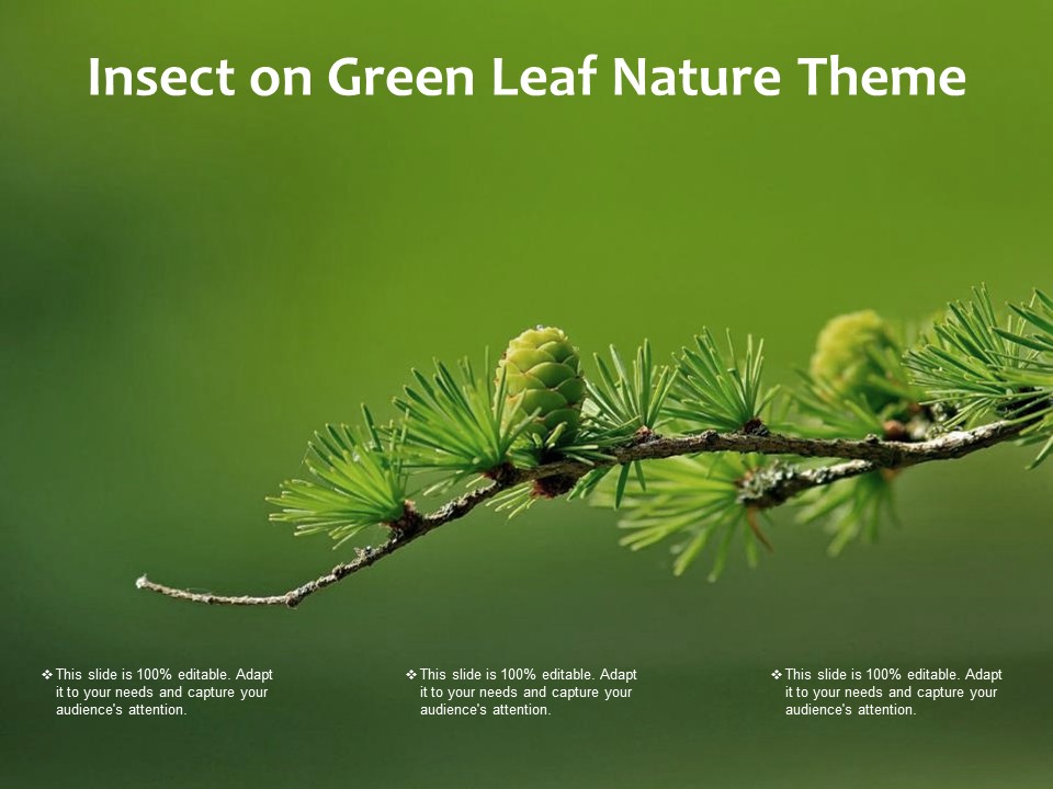 Insect On Green Leaf Nature Theme Ppt PowerPoint Presentation Gallery Layout Ideas