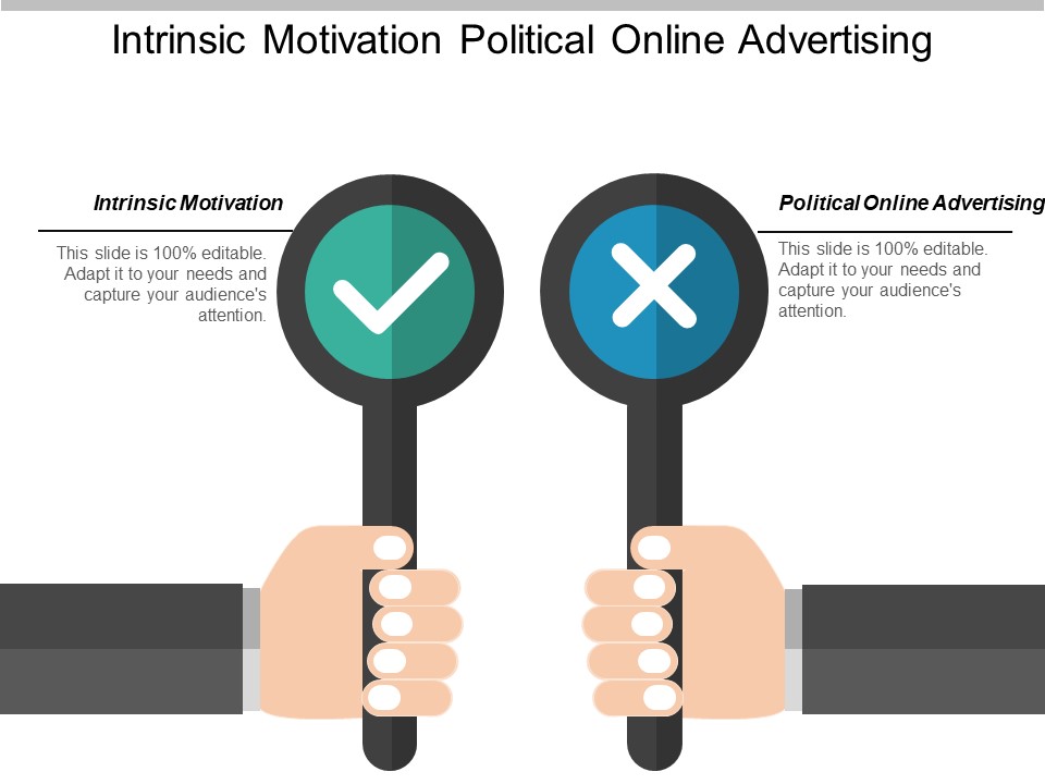 Intrinsic Motivation Political Online Advertising Ppt PowerPoint Presentation Slides Graphics Pictures