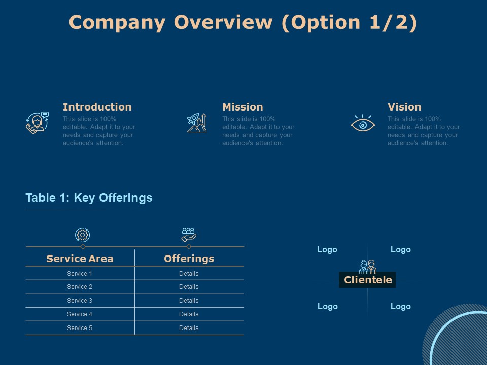 Investing In Start Ups Company Overview Option Ppt Summary Display PDF