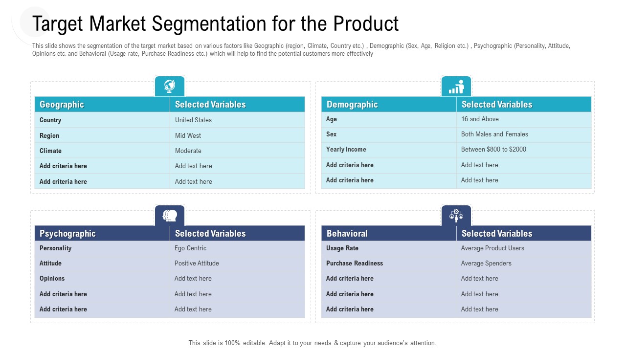 Investor Pitch Deck Procure Federal Debt From Banks Target Market Segmentation For The Product Infographics PDF