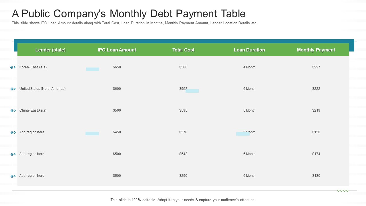 Investor Pitch Stock Market Launch Financial Institutions A Public Companys Monthly Debt Payment Table Summary PDF