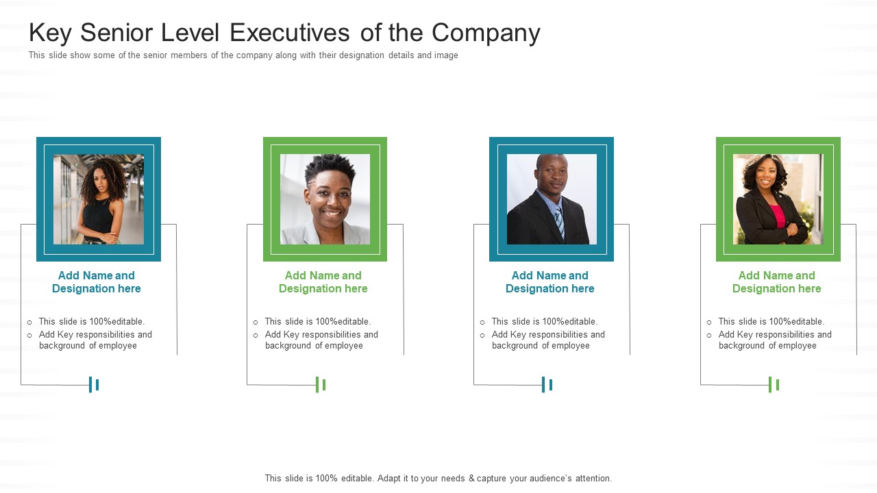 Investor Pitch Stock Market Launch Financial Institutions Key Senior Level Executives Of The Company Background PDF