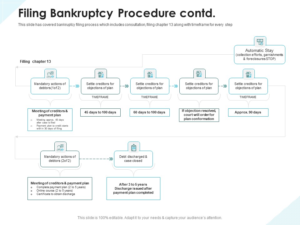Issues Which Leads To Insolvency Filing Bankruptcy Procedure Contd Summary PDF