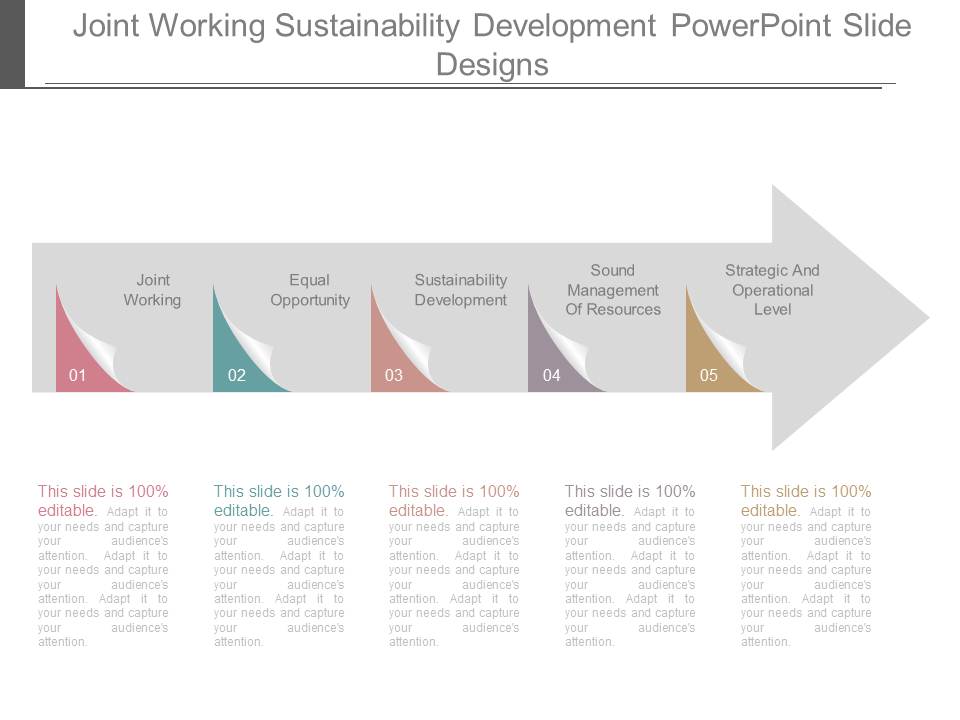 Joint Working Sustainability Development Powerpoint Slide Designs