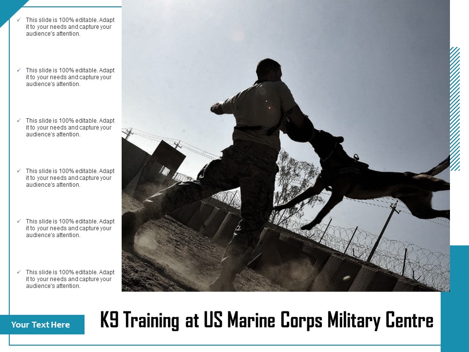 K9 Training At US Marine Corps Military Centre Ppt PowerPoint Presentation Professional Graphics Example PDF