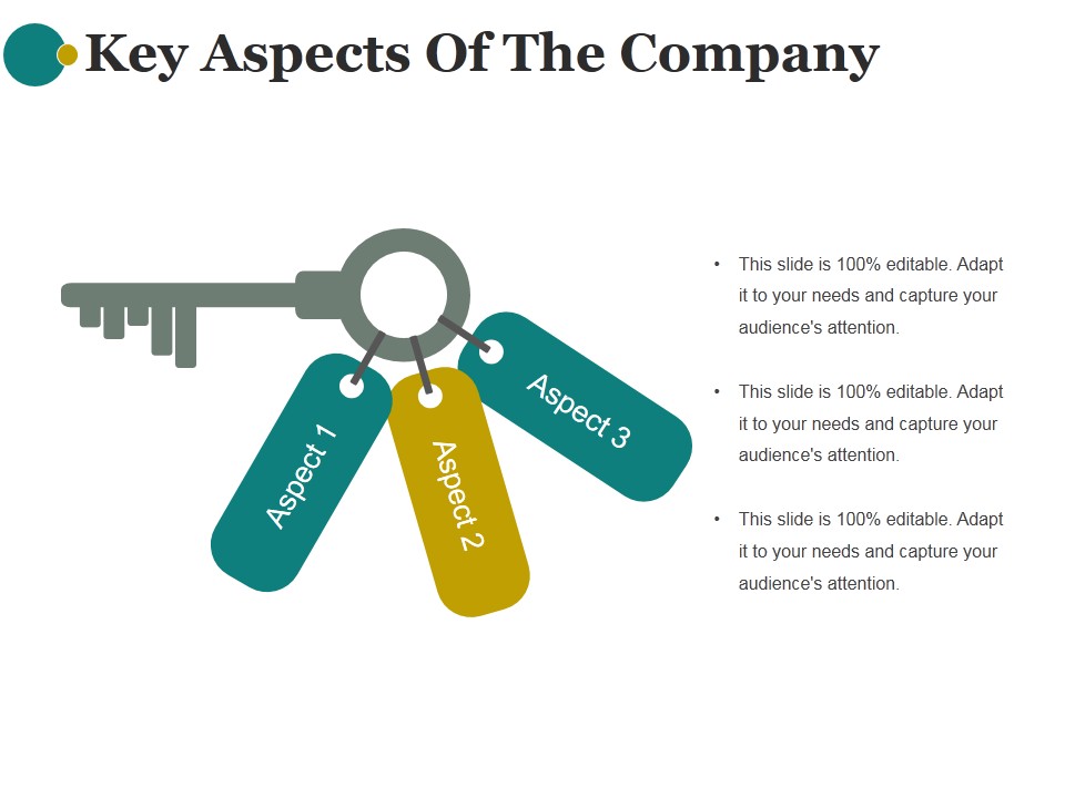 Key Aspects Of The Company Ppt PowerPoint Presentation Guidelines