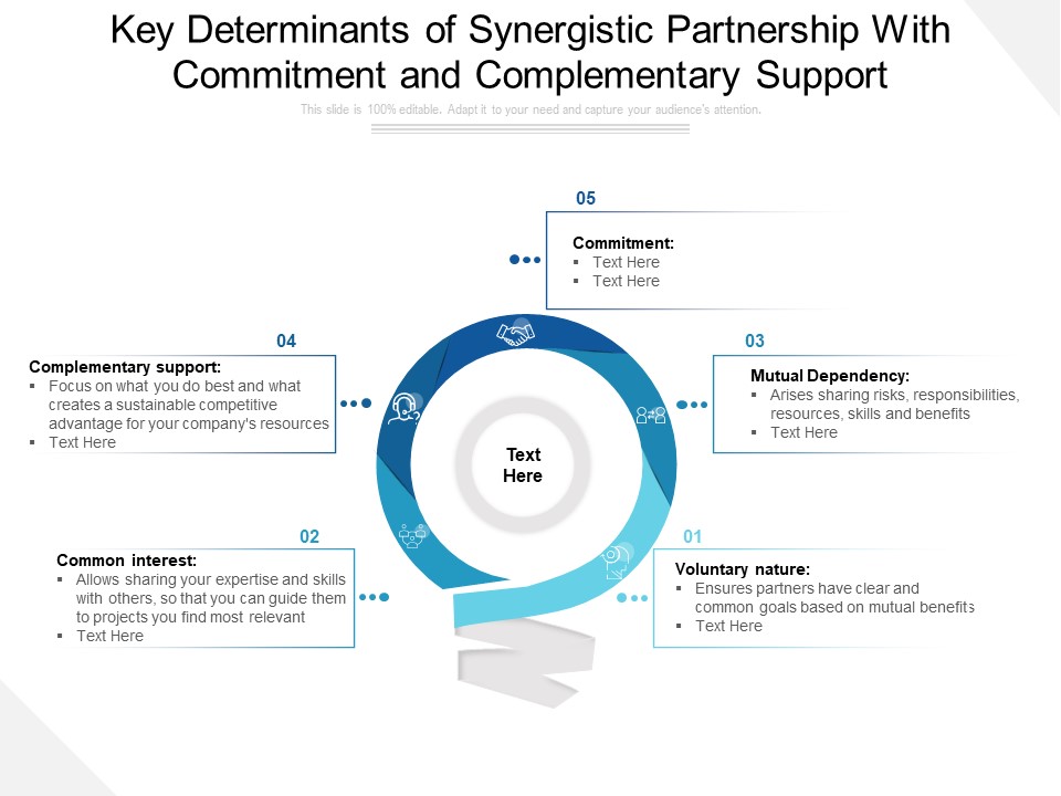 Key Determinants Of Synergistic Partnership With Commitment And Complementary Support Ppt PowerPoint Presentation File Gallery PDF