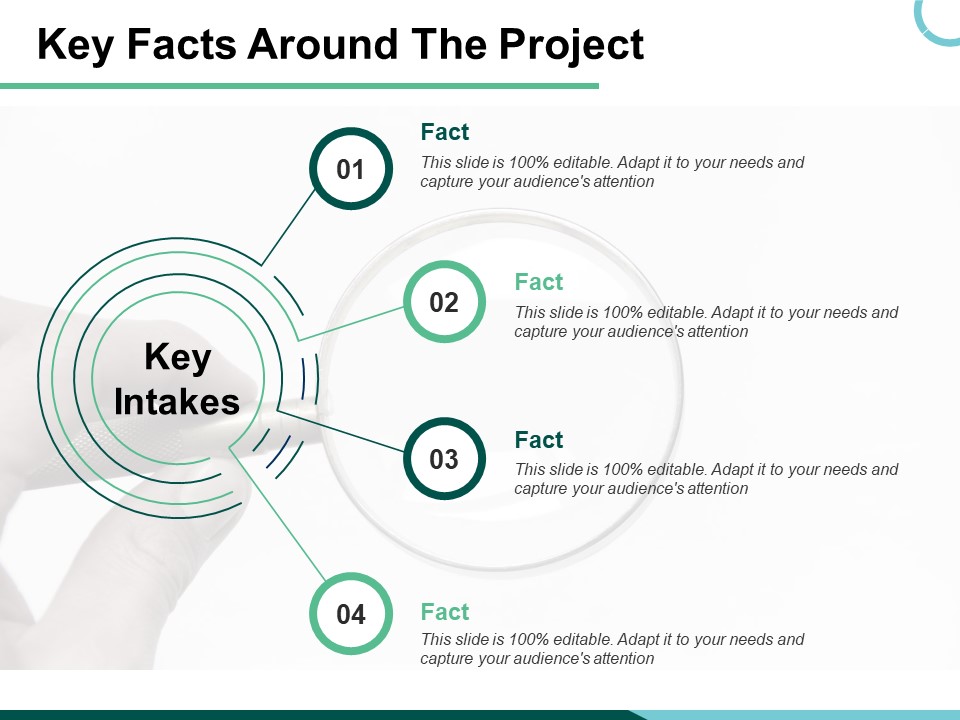Key Facts Around The Project Ppt PowerPoint Presentation Portfolio Graphics Example