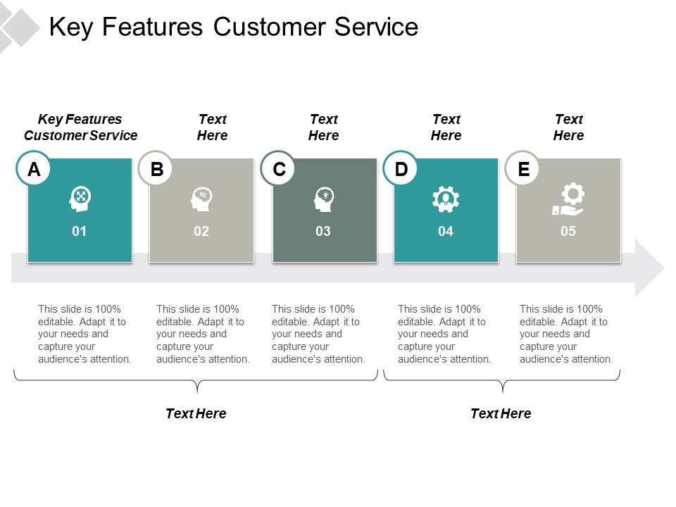 Key Features Customer Service Ppt PowerPoint Presentation Visual Aids Example File Cpb