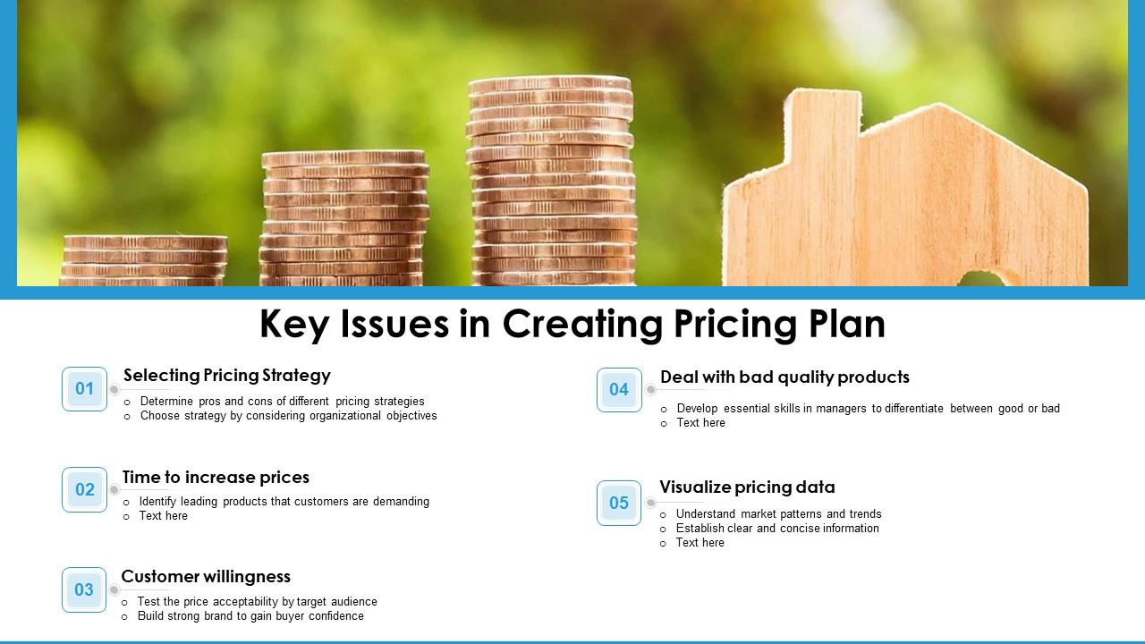 Key Issues In Creating Pricing Plan Ppt PowerPoint Presentation Icon Portfolio PDF