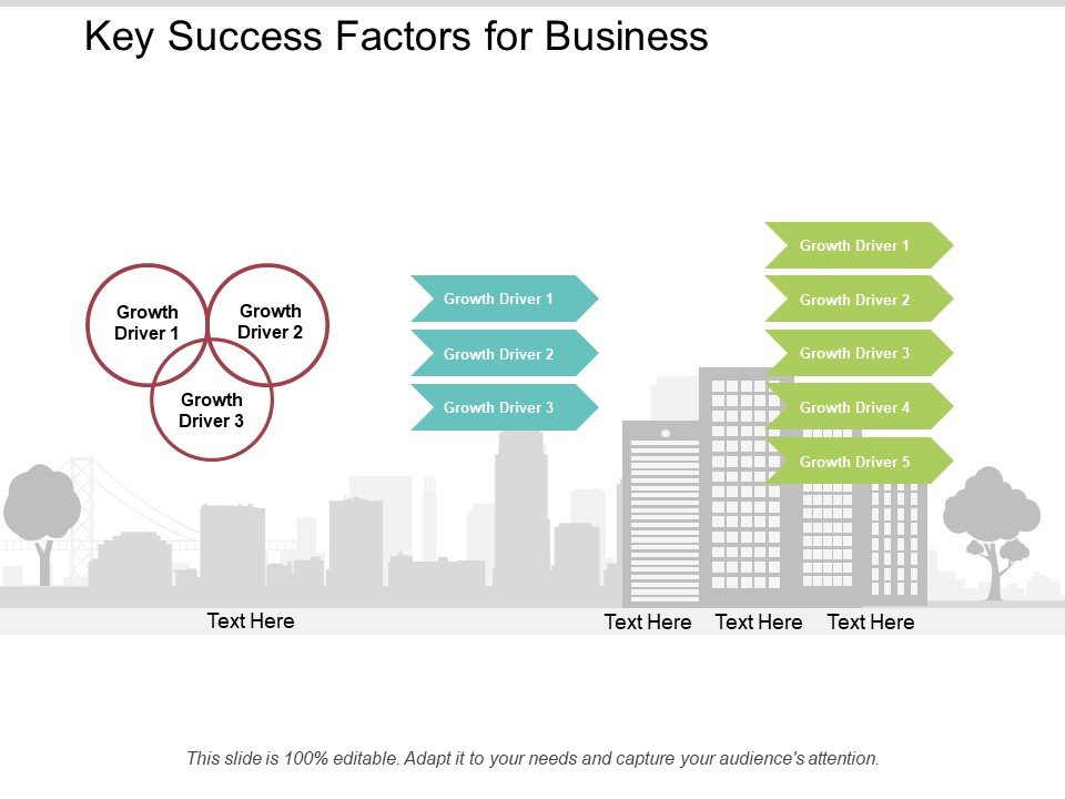 Key Success Factors For Business Ppt Powerpoint Presentation Layouts Microsoft