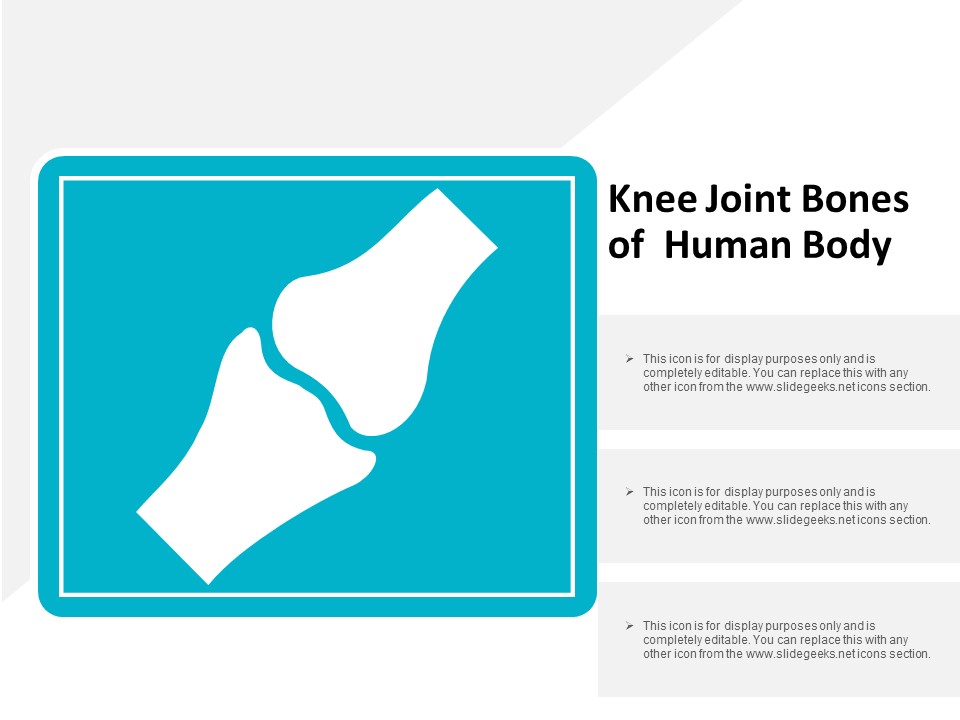 Knee Joint Bones Of Human Body Ppt Powerpoint Presentation Slides Master Slide