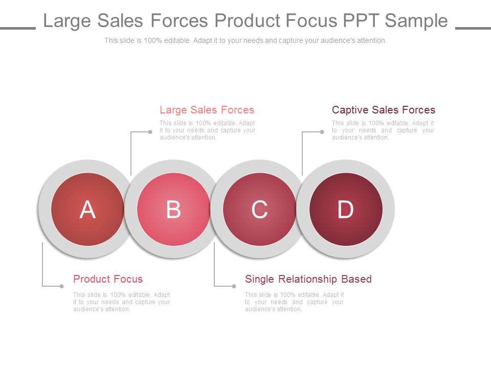 Large Sales Forces Product Focus Ppt Slides