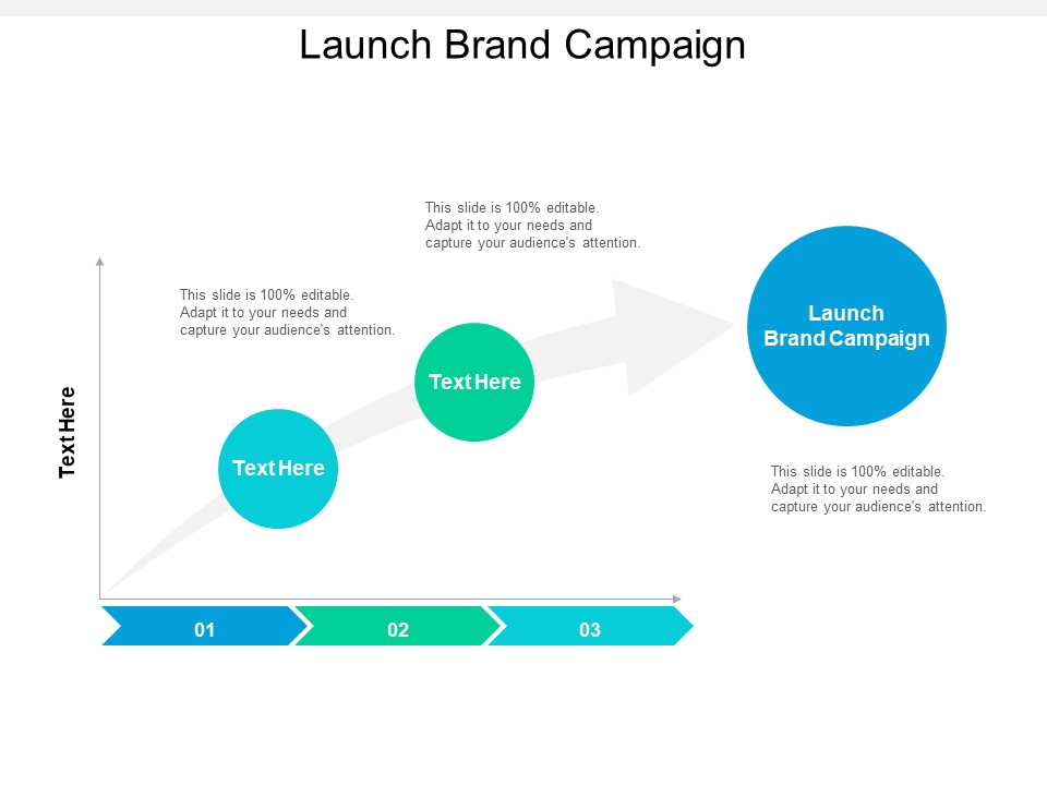Launch Brand Campaign Ppt PowerPoint Presentation Infographics Objects Cpb