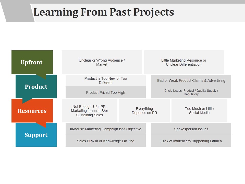 Learning From Past Projects Ppt PowerPoint Presentation Layouts Portrait