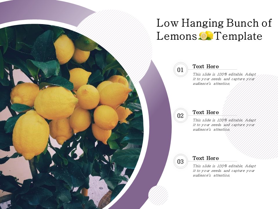 Low Hanging Bunch Of Lemons Template Ppt PowerPoint Presentation Gallery Guidelines PDF