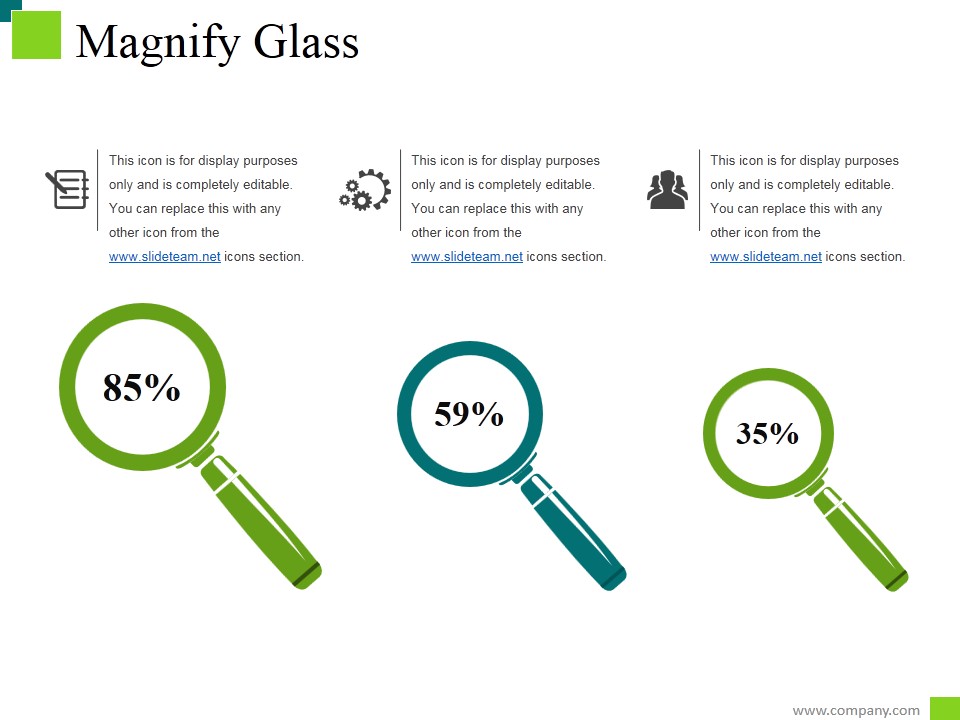 Magnify Glass Ppt PowerPoint Presentation File Summary