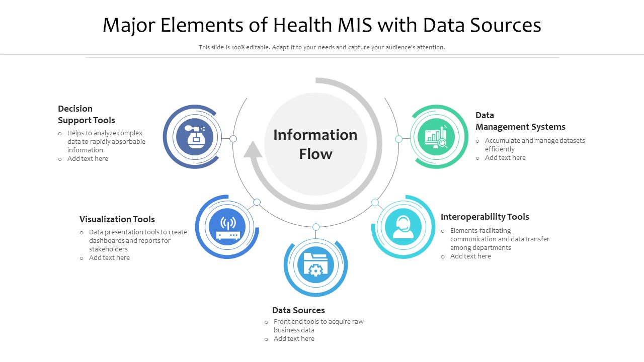 Major Elements Of Health MIS With Data Sources Ppt Summary Graphics Tutorials PDF