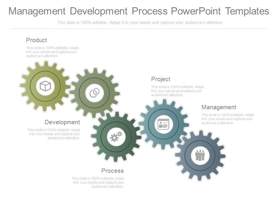 Management Development Process Powerpoint Templates