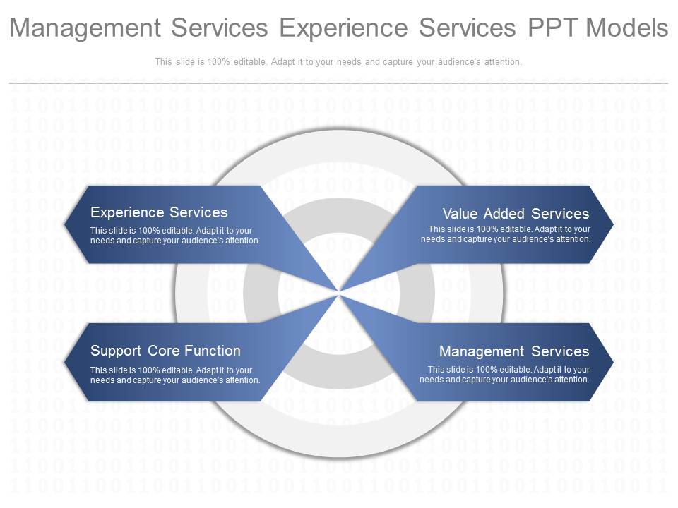 Management Services Experience Services Ppt Model