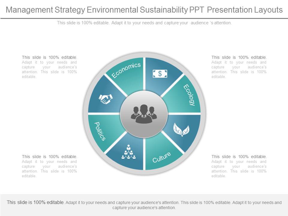 Management Strategy Environmental Sustainability Ppt Presentation Layouts
