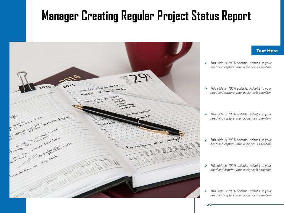 Manager Creating Regular Project Status Report Ppt PowerPoint Presentation Infographic Template Diagrams PDF