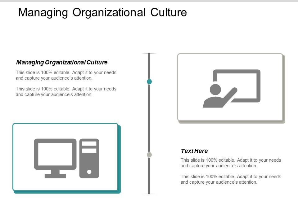 Managing Organizational Culture Ppt PowerPoint Presentation Professional Icon Cpb
