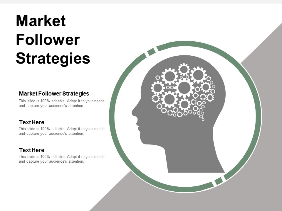 Market Follower Strategies Ppt PowerPoint Presentation Infographic Template Summary Cpb
