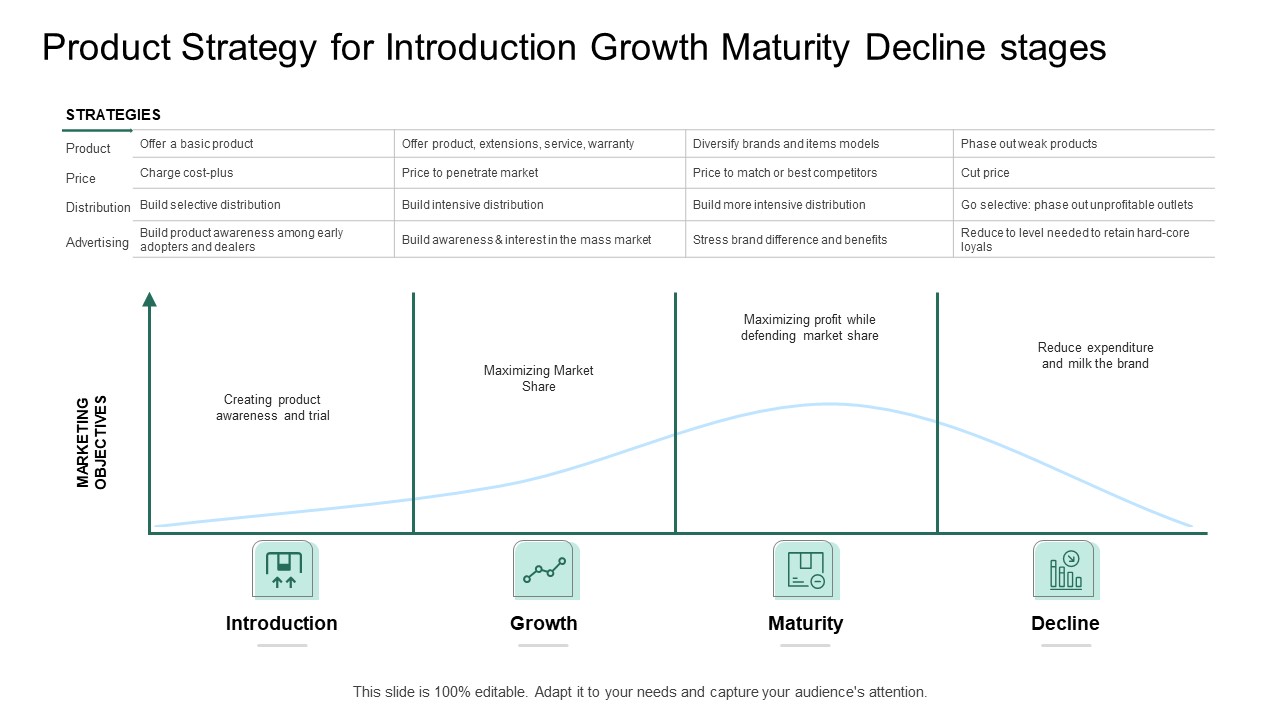 Market Potential Analysis Product Strategy For Introduction Growth Maturity Decline Stages Ppt Portfolio Background Image PDF