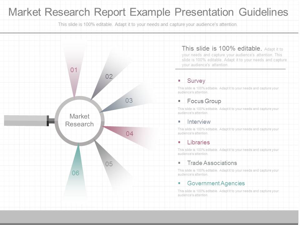 Market Research Report Example Presentation Guidelines