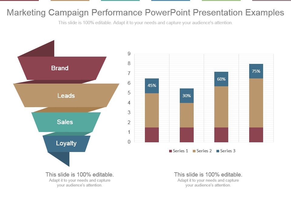 Marketing Campaign Performance Powerpoint Presentation Examples