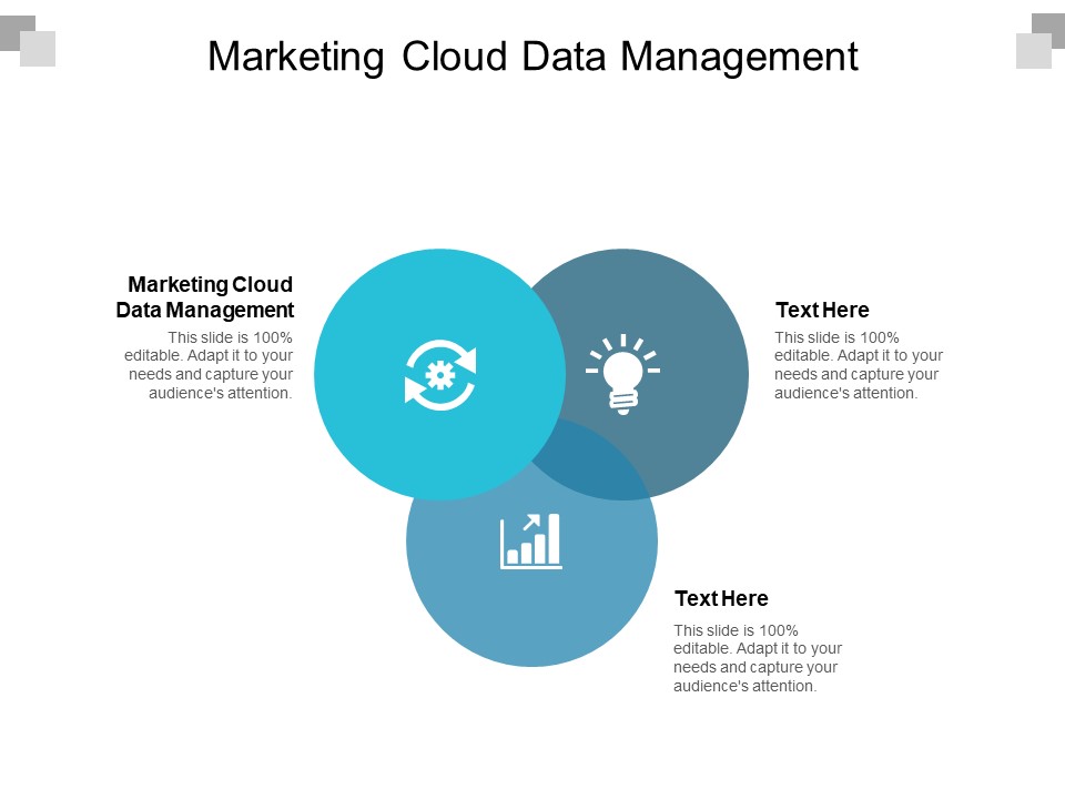 Marketing Cloud Data Management Ppt PowerPoint Presentation Show Examples Cpb