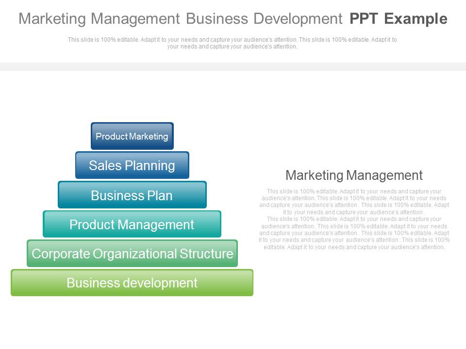 Marketing Management Business Development Ppt Example