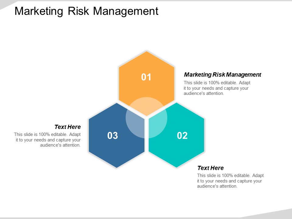 Marketing Risk Management Ppt Powerpoint Presentation Show Mockup Cpb