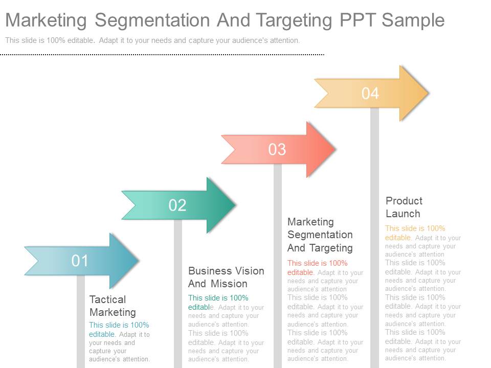 Marketing Segmentation And Targeting Ppt Sample