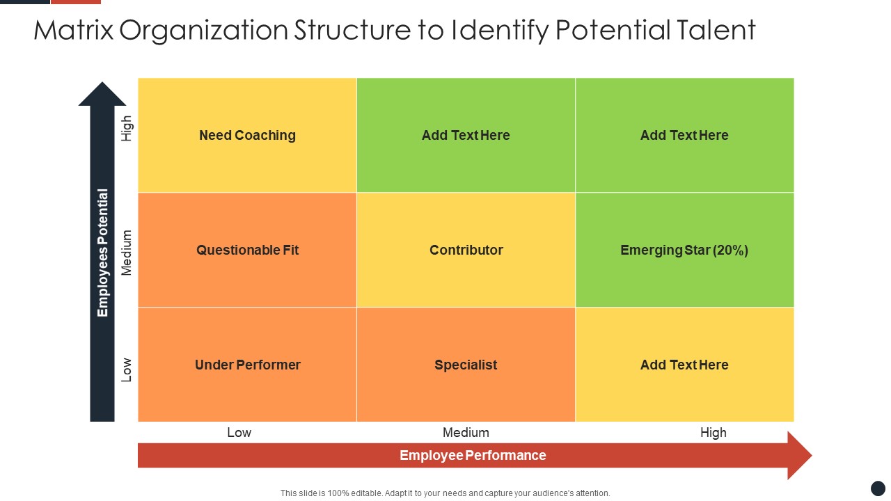Matrix Organization Structure To Identify Potential Talent Guidelines PDF