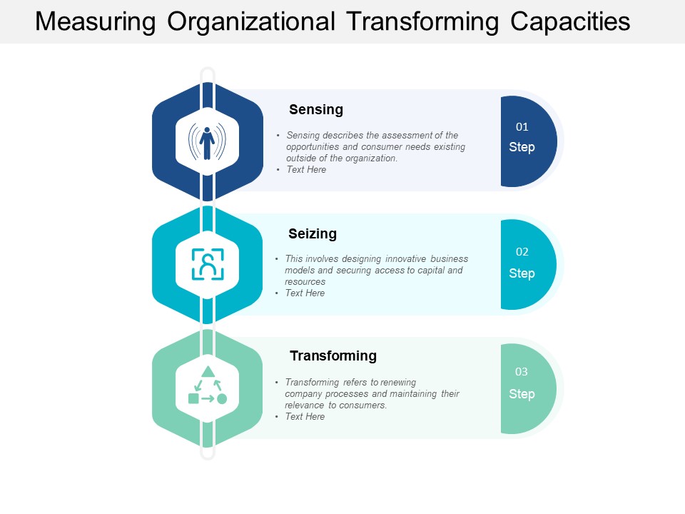 Measuring Organizational Transforming Capacities Ppt PowerPoint Presentation Portfolio Guide