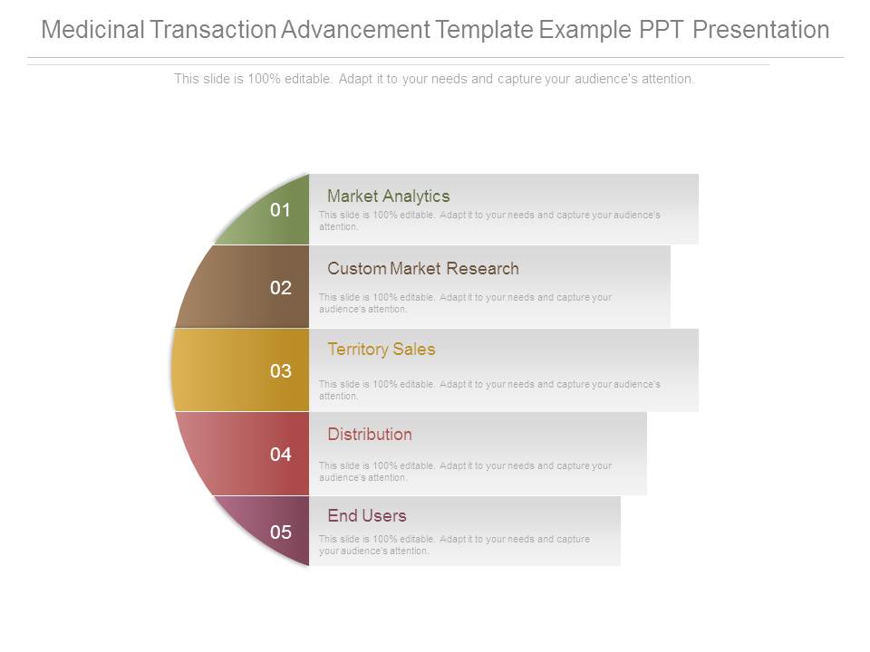 Medicinal Transaction Advancement Template Example Ppt Presentation
