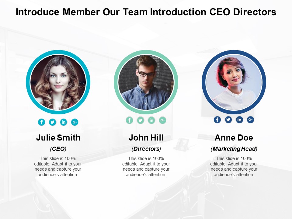 Meet The Team Introducing Ceo Directors Marketing Head Ppt Powerpoint Presentation Show Graphics Design