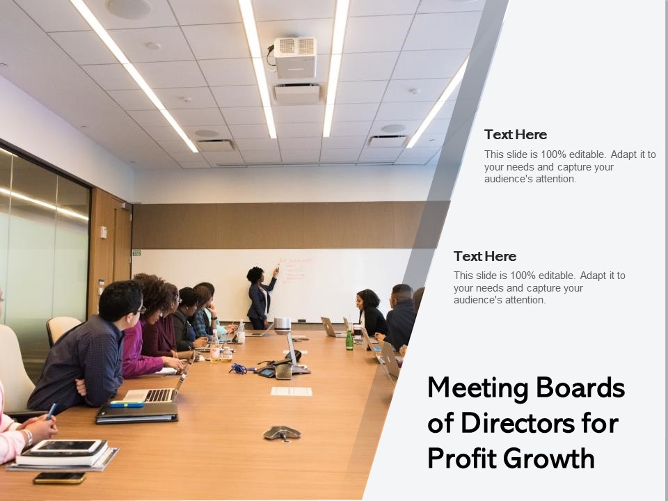 Meeting Boards Of Directors For Profit Growth Ppt PowerPoint Presentation File Template PDF
