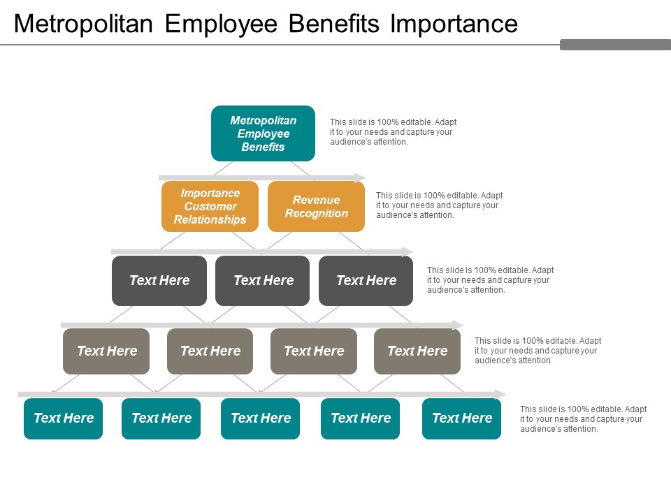 Metropolitan Employee Benefits Importance Customer Relationships Revenue Recognition Ppt PowerPoint Presentation Inspiration Layouts