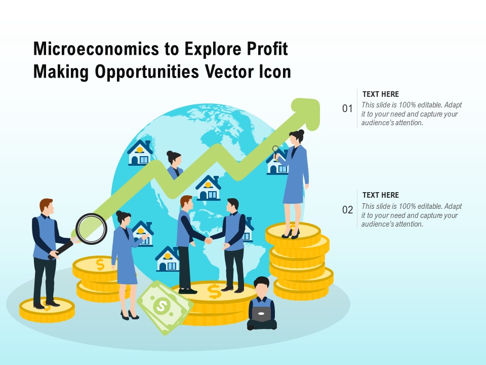 Microeconomics To Explore Profit Making Opportunities Vector Icon Ppt PowerPoint Presentation File Inspiration PDF