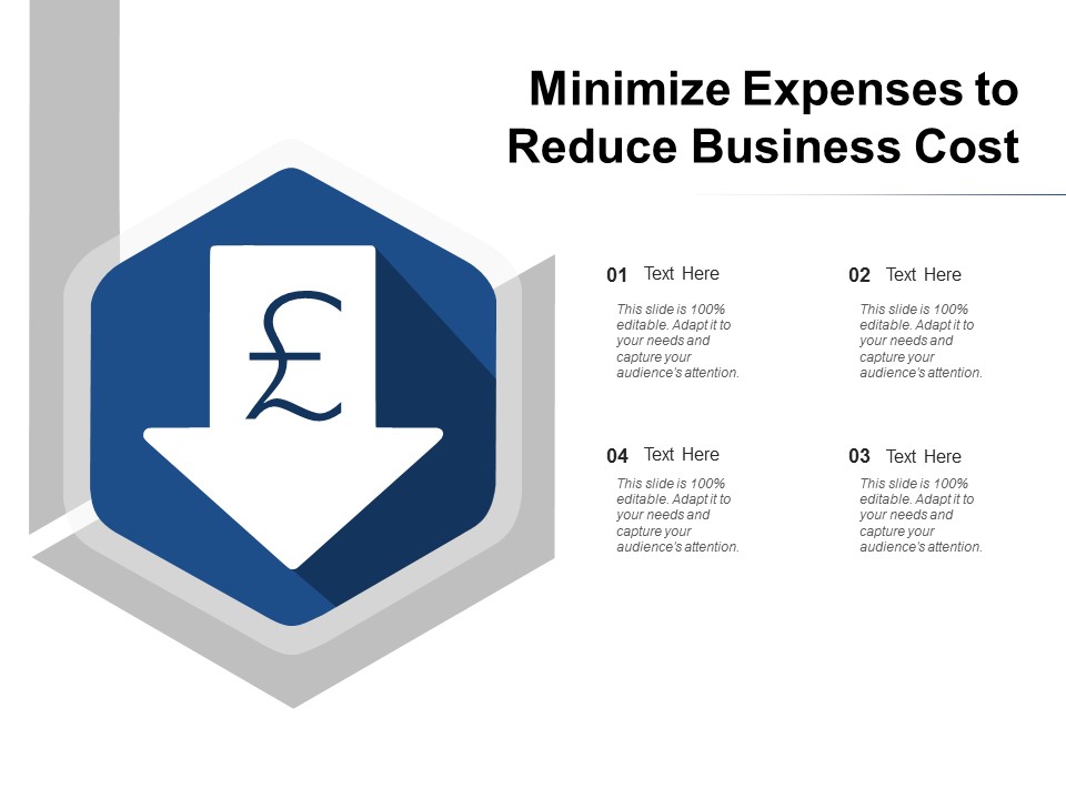Minimize Expenses To Reduce Business Cost Ppt Powerpoint Presentation Inspiration Pictures
