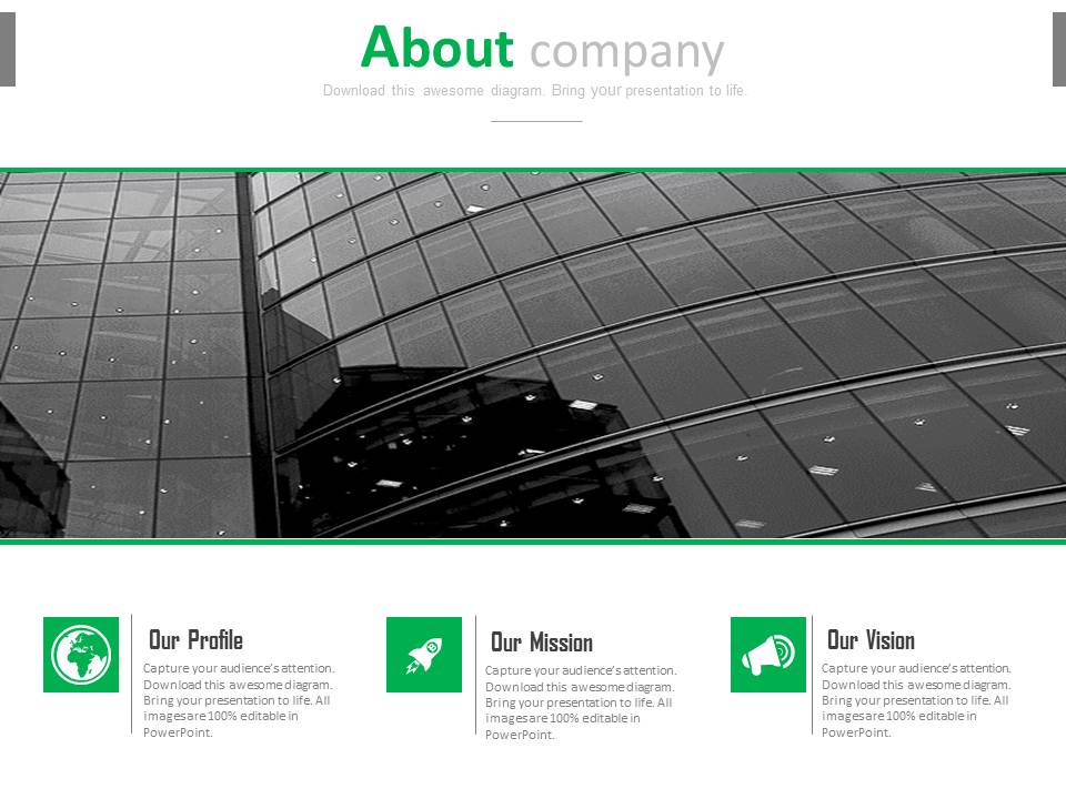 Mission Vision And Profile Of Company Powerpoint Slides