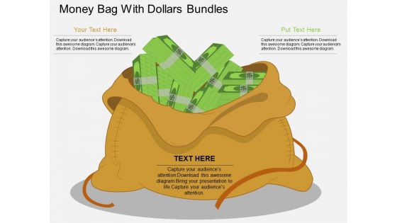 Money Bag With Dollars Bundles Powerpoint Template